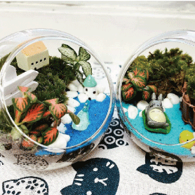 植物閒情