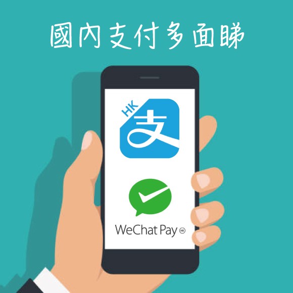 國內支付多面睇