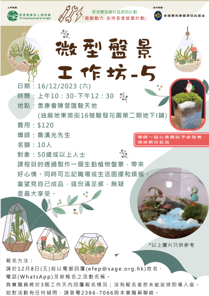 微型盤景製作坊-5