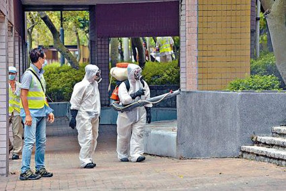 退休長者組「除蝨特工隊」